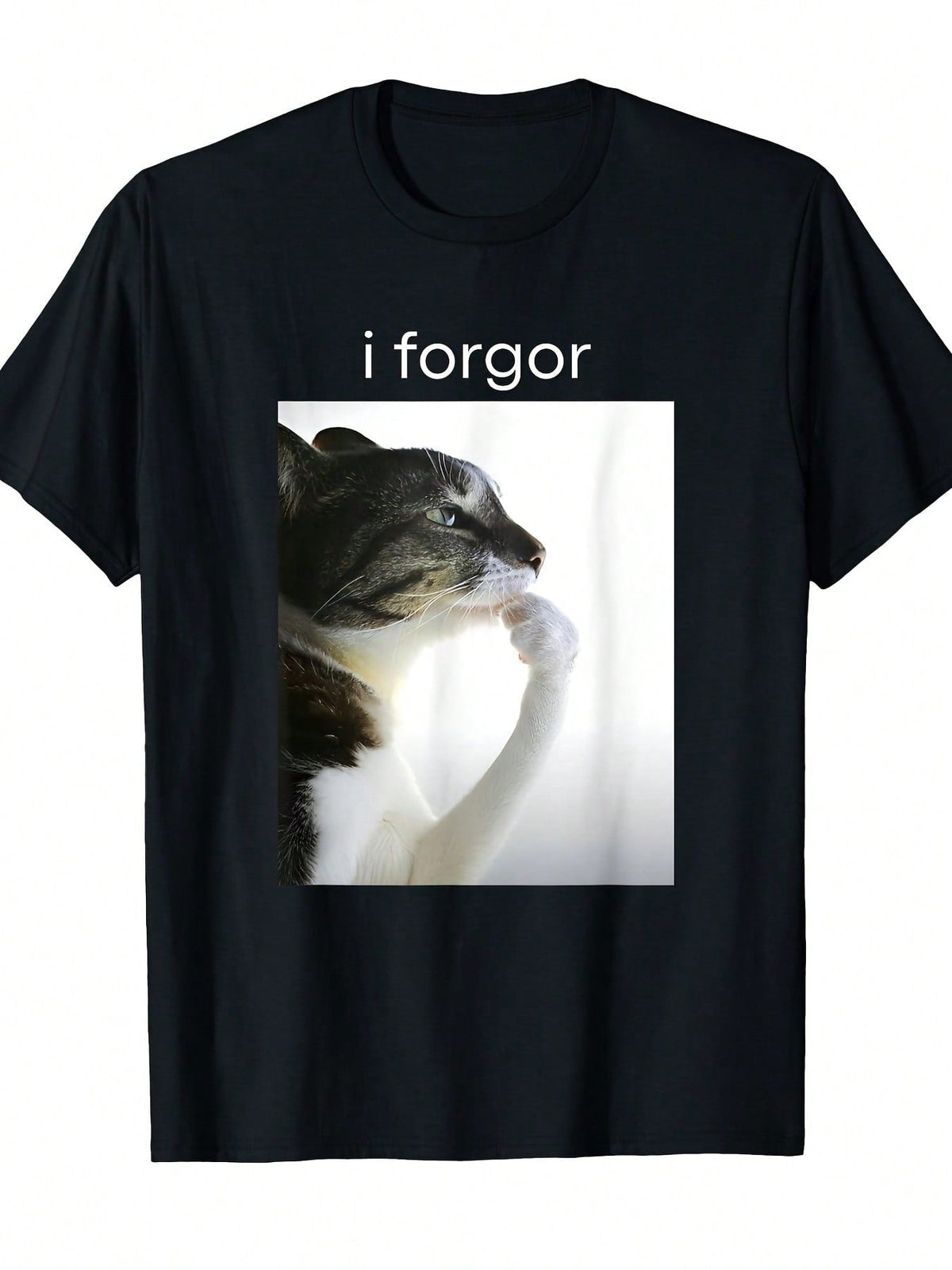 I Forgor Cat Meme Tabby Cat Print Tee Unisex Crew Neck Short Sleeve Casual Top